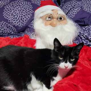 Andi-Land-Set-672-029e58c178483aee341