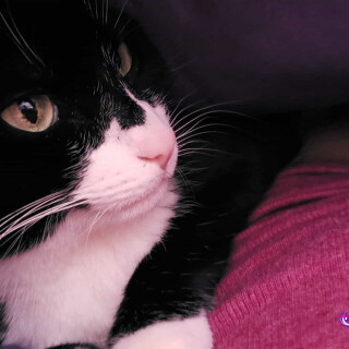 Andi-Land-Set-672-03329c021de1b0e9632