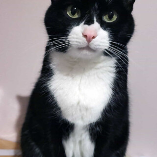 Andi-Land-Set-672-03636b03843543a4261