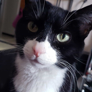 Andi-Land-Set-672-040e40ef5164eb78884