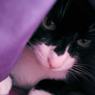 Andi-Land-Set-672-06554d43573b365df7d