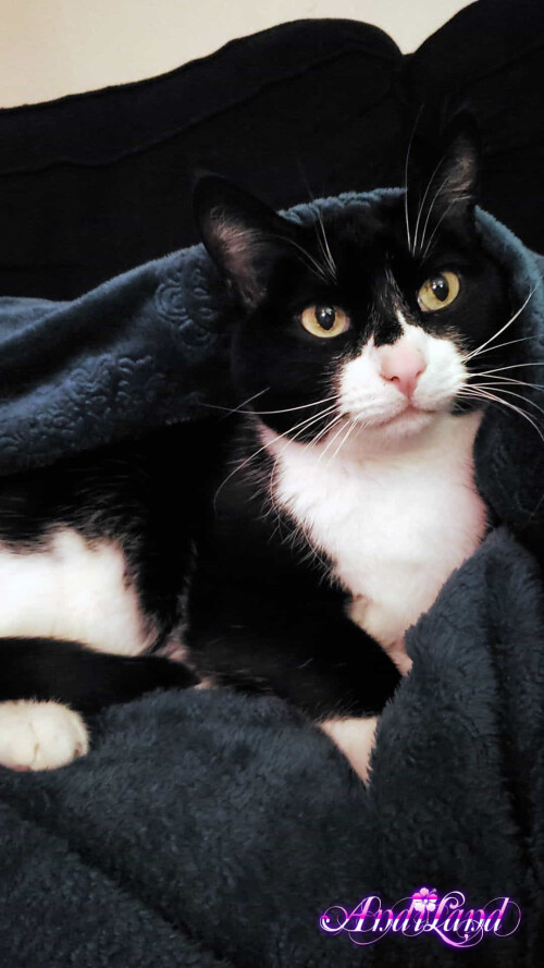 Andi Land Set 672 071e0be0606a14faf91