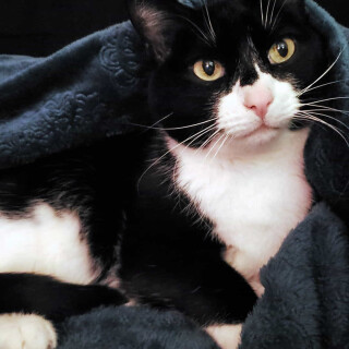 Andi-Land-Set-672-071e0be0606a14faf91