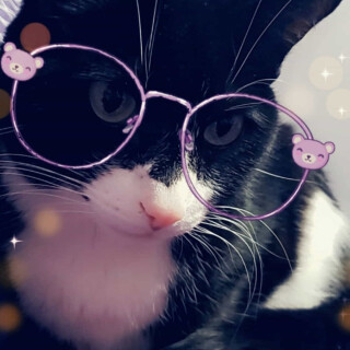 Andi-Land-Set-672-077ddfbb0a8dafabdc8