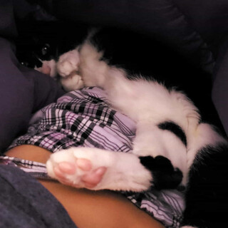 Andi-Land-Set-672-0836f974dd6c6843bfa