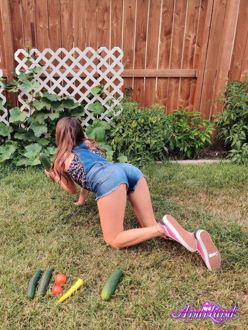 Andi-Land-Set-798-00399a7dd8435e0059a.jpeg