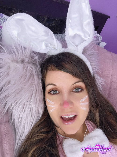 Andi Land Set 874 07379cae14e6db8b69a