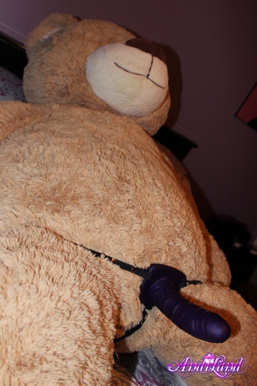 Andi Land Teddy Style Set 593 10103be143c4cda62ee