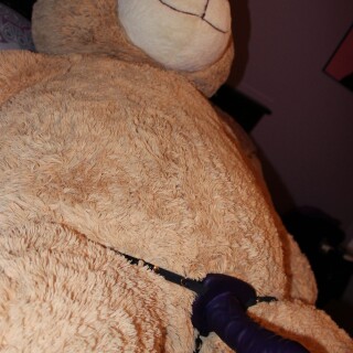 Andi-Land-Teddy-Style-Set-593-10103be143c4cda62ee