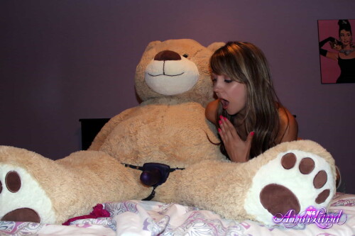 Andi Land Teddy Style Set 593 10788c6447feb9df070