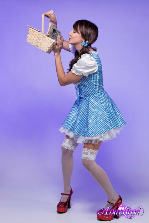 Andi Land Wizard Of Andi Land Set 700 011c0520a34ed79b081