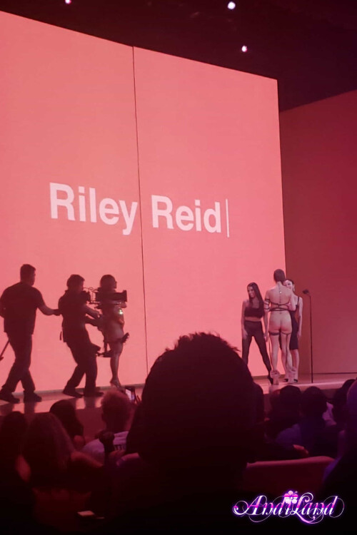 Andi land Set 699 103358ac771c3632dd3