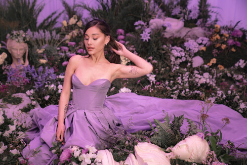 Ariana 0239825ad6f03144fbd