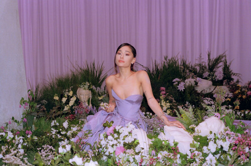 Ariana 05585b3c69139217df