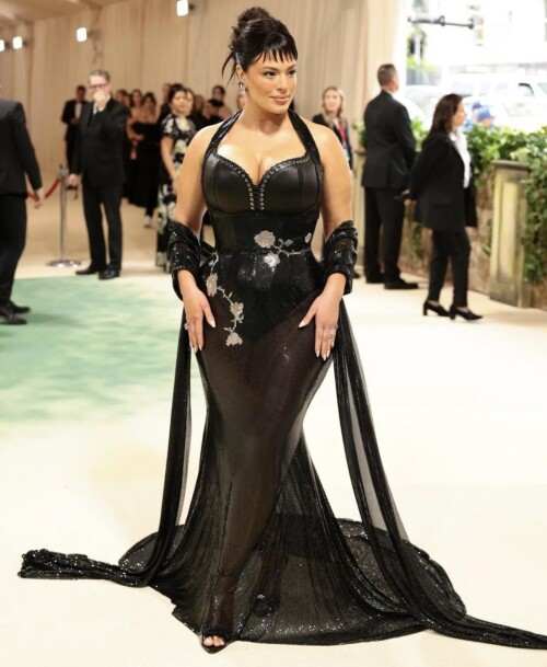 Ashley attending the Met Gala 5624 117a39537f3bd04e7