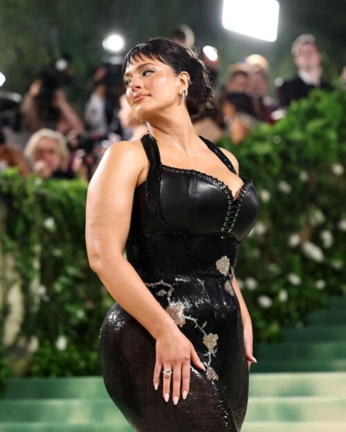 Ashley attending the Met Gala 5624 340b0161577172a29