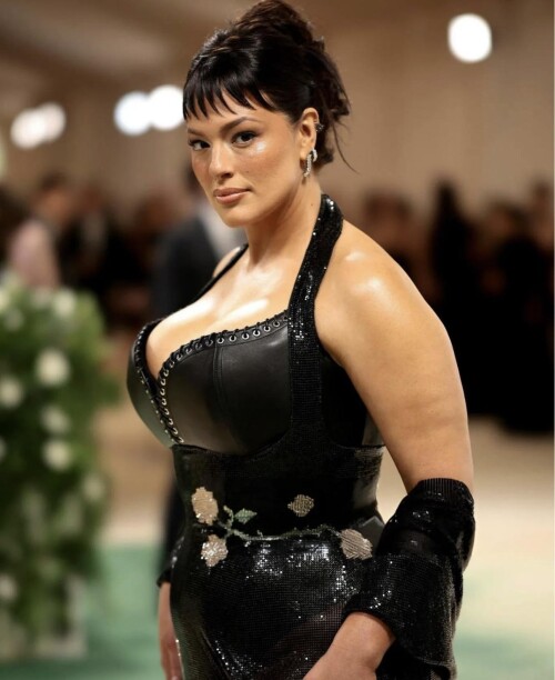 Ashley attending the Met Gala 56240eb9fe8e59dbc5e9