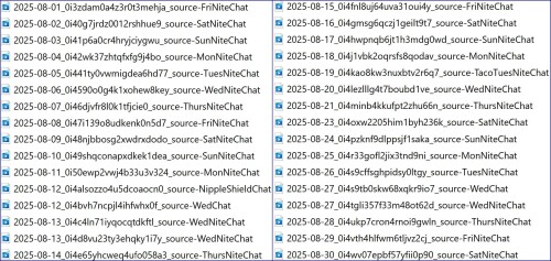 Aug 2025 Daily Chats9752a8c947fef593