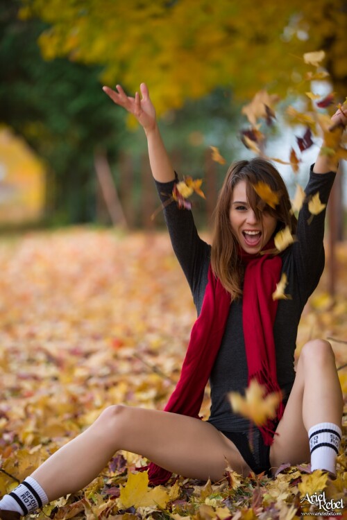 Autumn Leaves 33 lgbe63e0758c723b21