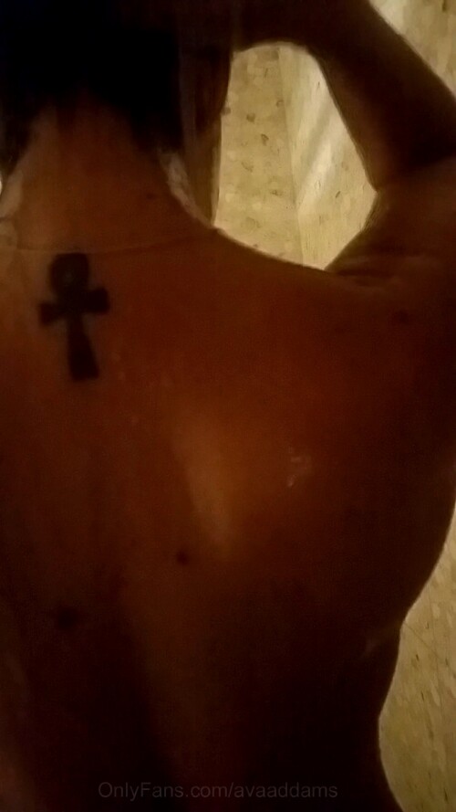 Ava Addams Beach Shower2