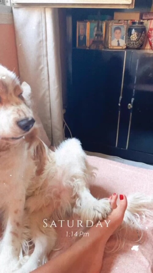 Aya Selim 62796792165887f66a396ef