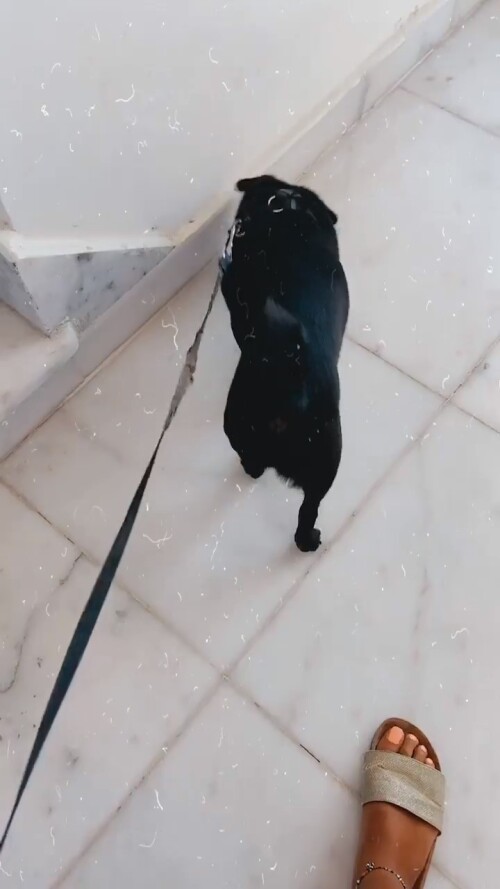 Aya Selim 68839089b64929cb6660c26