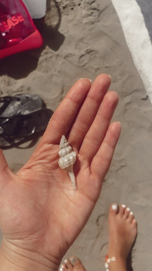 Aya Selim 688392430a35762abeedd48