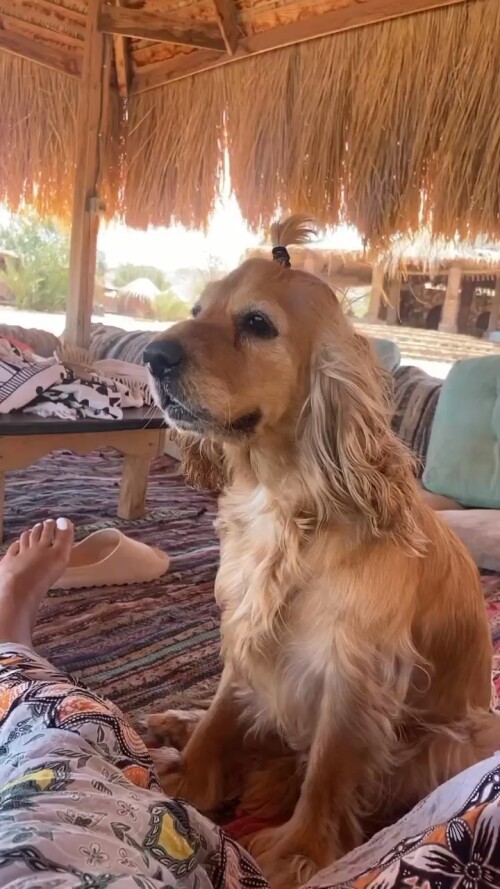 Aya Selim 6884159d1bff370312afab1