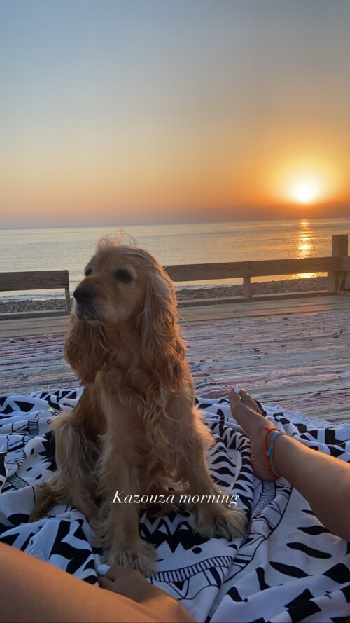 Aya Selim 68841619ad8e4211a99b742