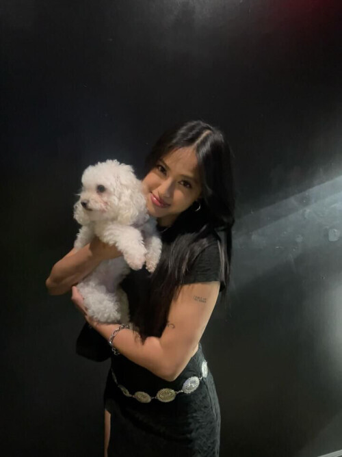 B51075DF 068D 49E2 B995 0C733B301F504f19a6e615c9c7e5