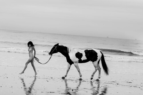 B9B3D10B 0639 4046 8A89 782E1AA77C38