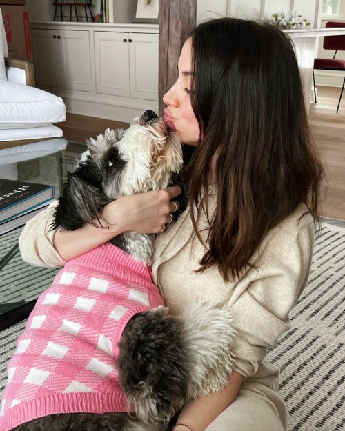 BC4D2702 21A9 4DFE 9609 A17E5263CA37