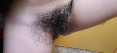 BCBF52E6 7D86 43E8 88D7 7E3B4E1E1588