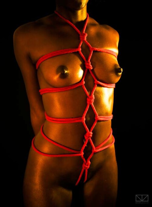 BDEF4925 9C12 48CC 9B09 F7734B0911EE4ef3a7fccdaed8df