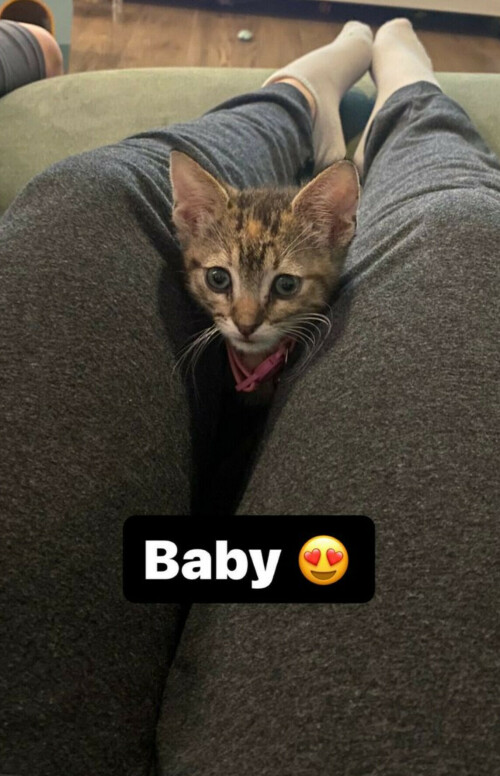 BF8FE08C 0EFD 4981 A1DB 4C9EF00F97B0aa648164787c5ac2