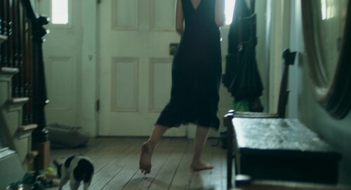 BTa49p1 wWY18618959d50499ca