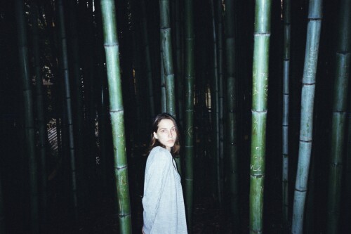 BambooCute65d7feda17549d68