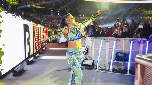 Bayley 1da6db2dfa5ad25d0