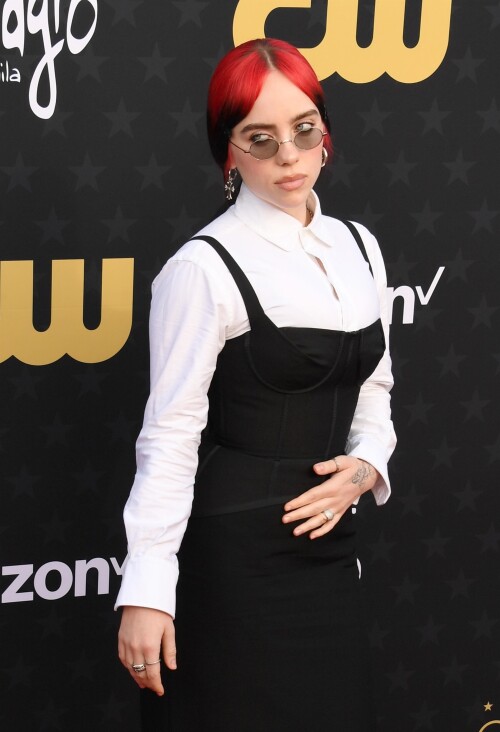 Billie_Eilish_at_29th_Annual_Critics_Choice_Awards_at_Barker_Hangar_in_Santa_Monica_01-14-2024__12_87cb14e78e3f52d1