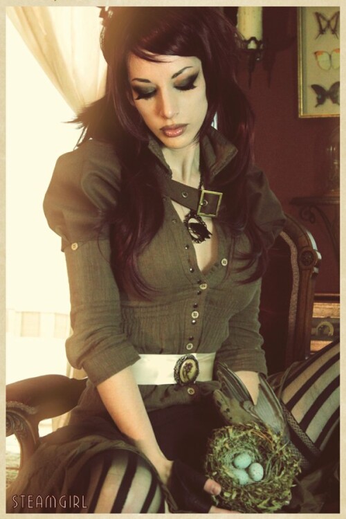 Birds nest 17265d674f1c146159