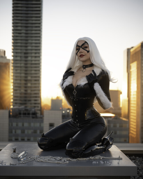 Black Cat 1059c930fec1797d2c