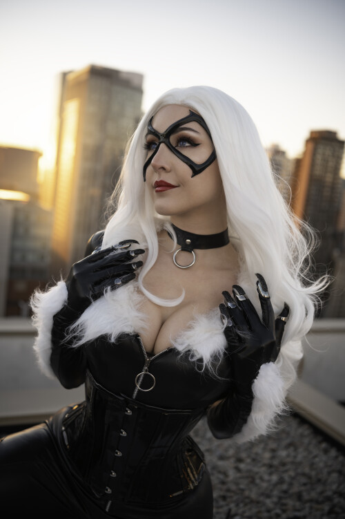 Black Cat 148365505a19889277