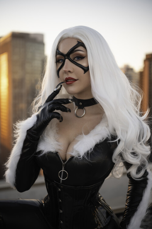 Black Cat 159bc0c3d712384d37