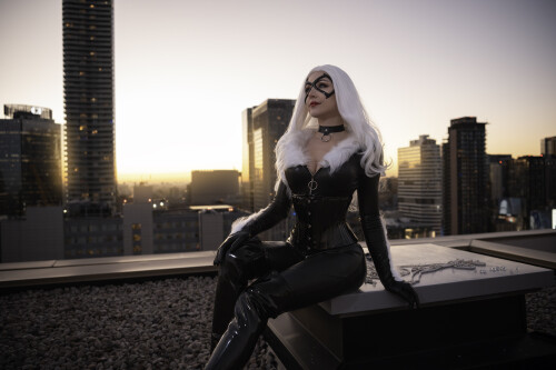 Black Cat 260f2d7caa16fe472b