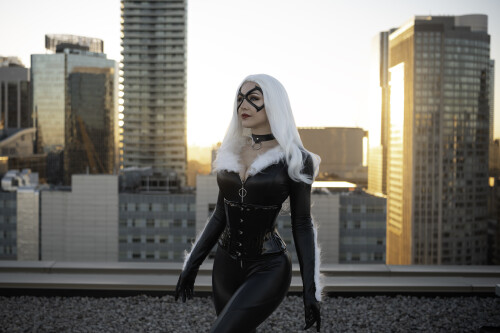 Black Cat 27397565a139433d3