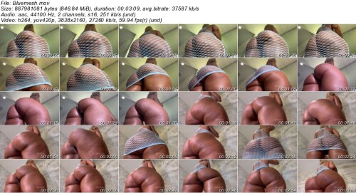 Bluemeshf3fe269384a93aa6