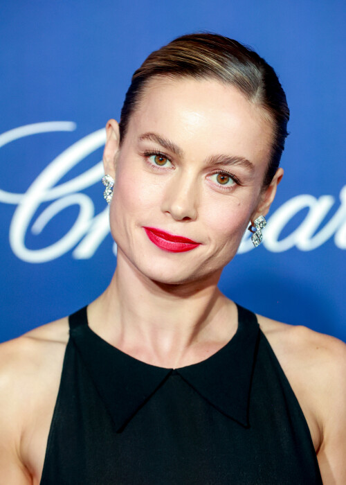 BrieAtCan23 1 Copy21be4deedb7e7d1b