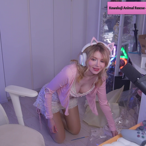 C---PM1-C-SQ84d239362a99e969