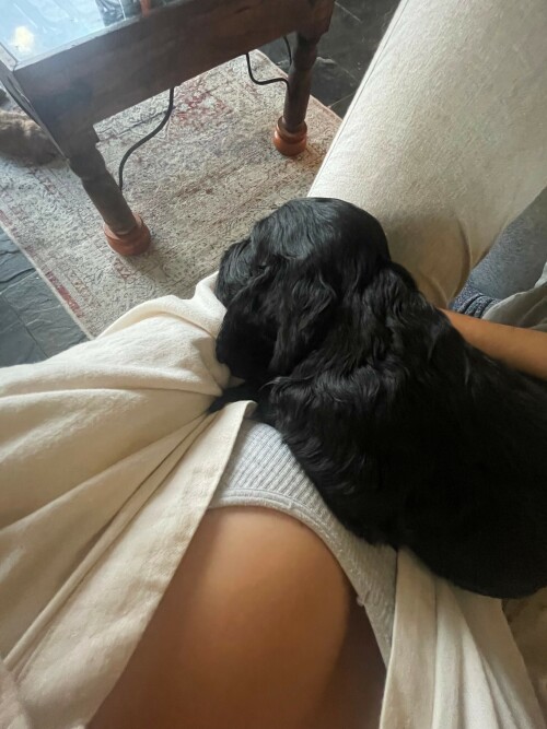 C4D27BA6 D769 45CB 8EC6 8877600DC4A3848258ea1b4aa568