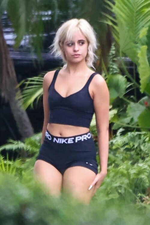 CC-9679c4e75bfd1f157